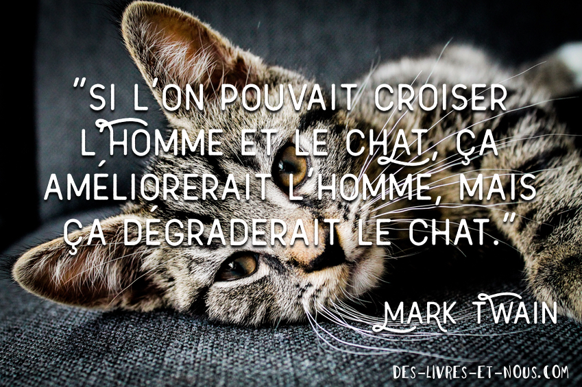 citation Mark Twain